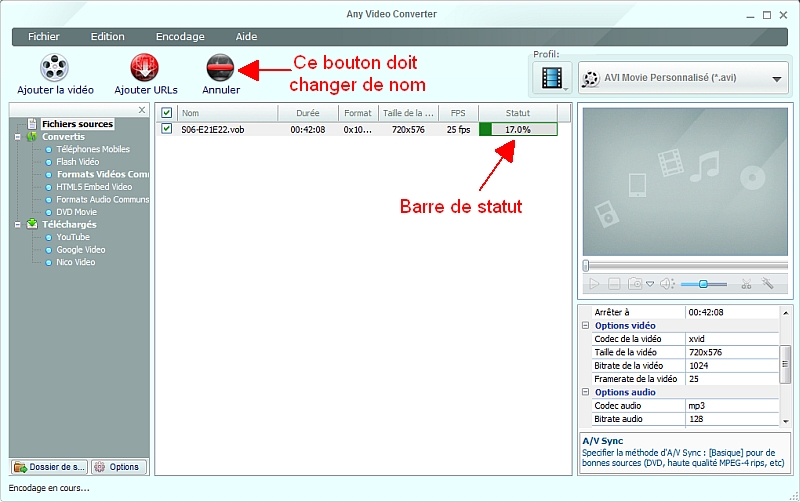 Any Video Converter - Encodage en cours...