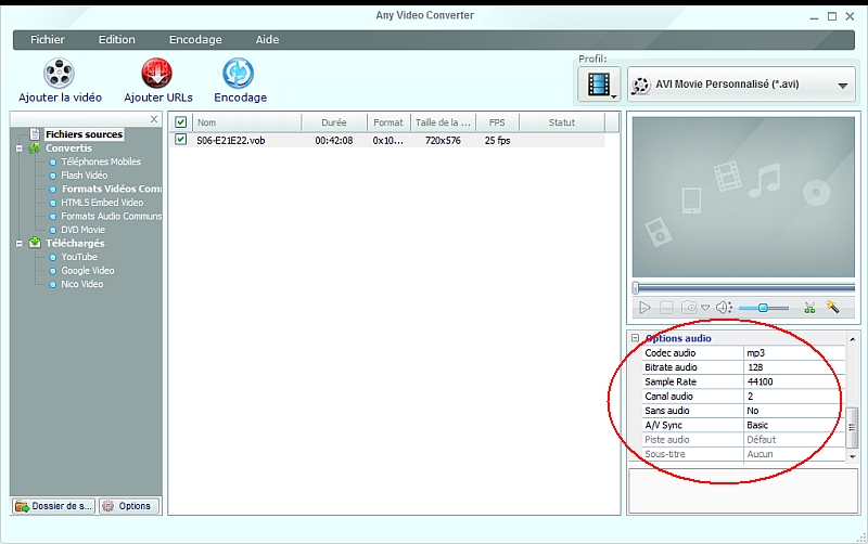 Any Video Converter - Paramtrage de l'audio