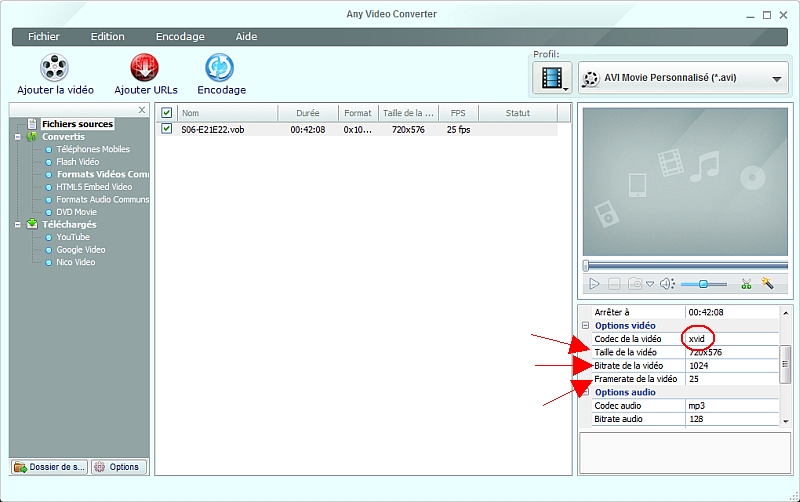 Any Video Converter - Paramtrage de la vido
