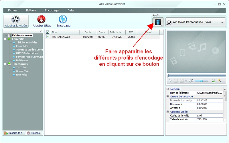 Any Video Converter - Choisir le profil d'encodage