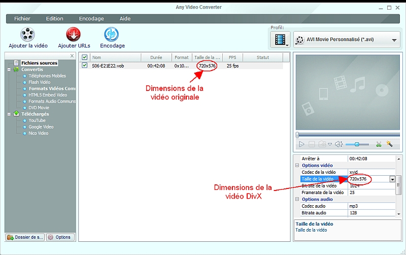 Any Video Converter - Choix des dimensions de la vido finale