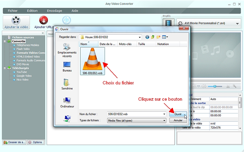 Any Video Converter - Choix du fichier vob  convertir