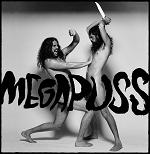 Megapuss - Surfing (2008)
